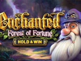 Enchanted Forest Of Fortune game screenshot